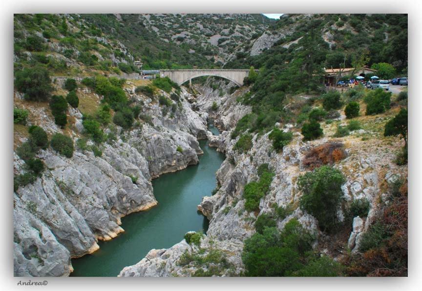 Magnifique Villa Typique Du Sud Avec Piscine Privee Et Jardin Mediterraneen Saint-Vincent-de-Barbeyrargues Zewnętrze zdjęcie