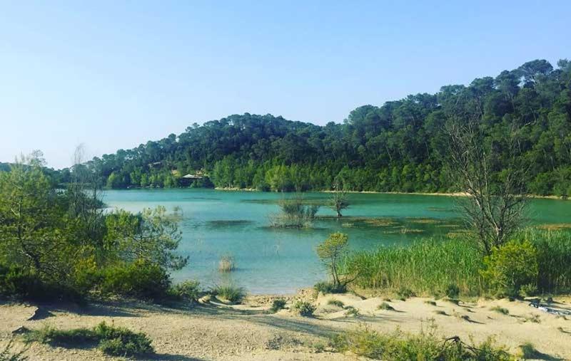 Magnifique Villa Typique Du Sud Avec Piscine Privee Et Jardin Mediterraneen Saint-Vincent-de-Barbeyrargues Zewnętrze zdjęcie
